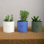 Rami Kim Studio Home Planters Mini Face Planter in Mongolian Green Mongolian Green