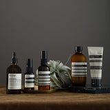 Aesop Beauty Face Purifying Facial Exfoliant Paste