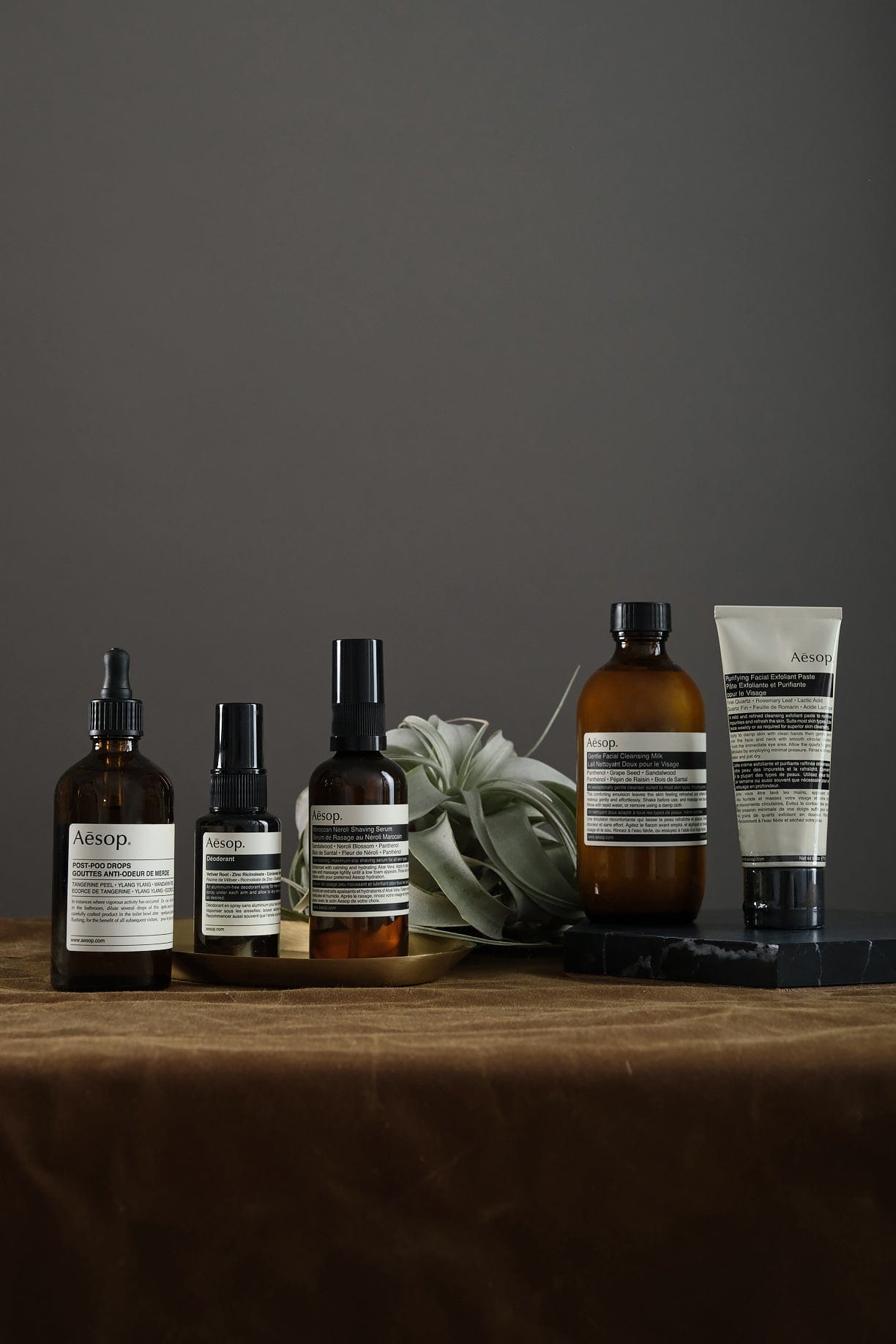 Aesop Beauty Face Purifying Facial Exfoliant Paste