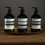 Aesop Beauty Body 16.9 fl oz Body Cleanser