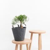 Uashmama Home Baskets Medium Paniere Bucket