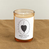 DS & DURGA Home Candles Holy Ficus Candle