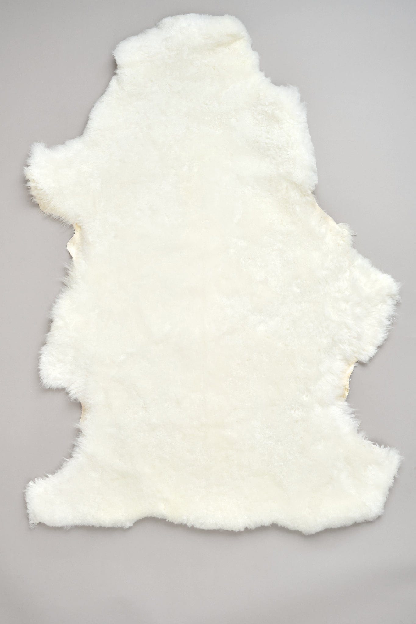 Farmhouse Pottery Home Rugs Natural Sheepskin in Ivory Ivory / 41" X 24"
