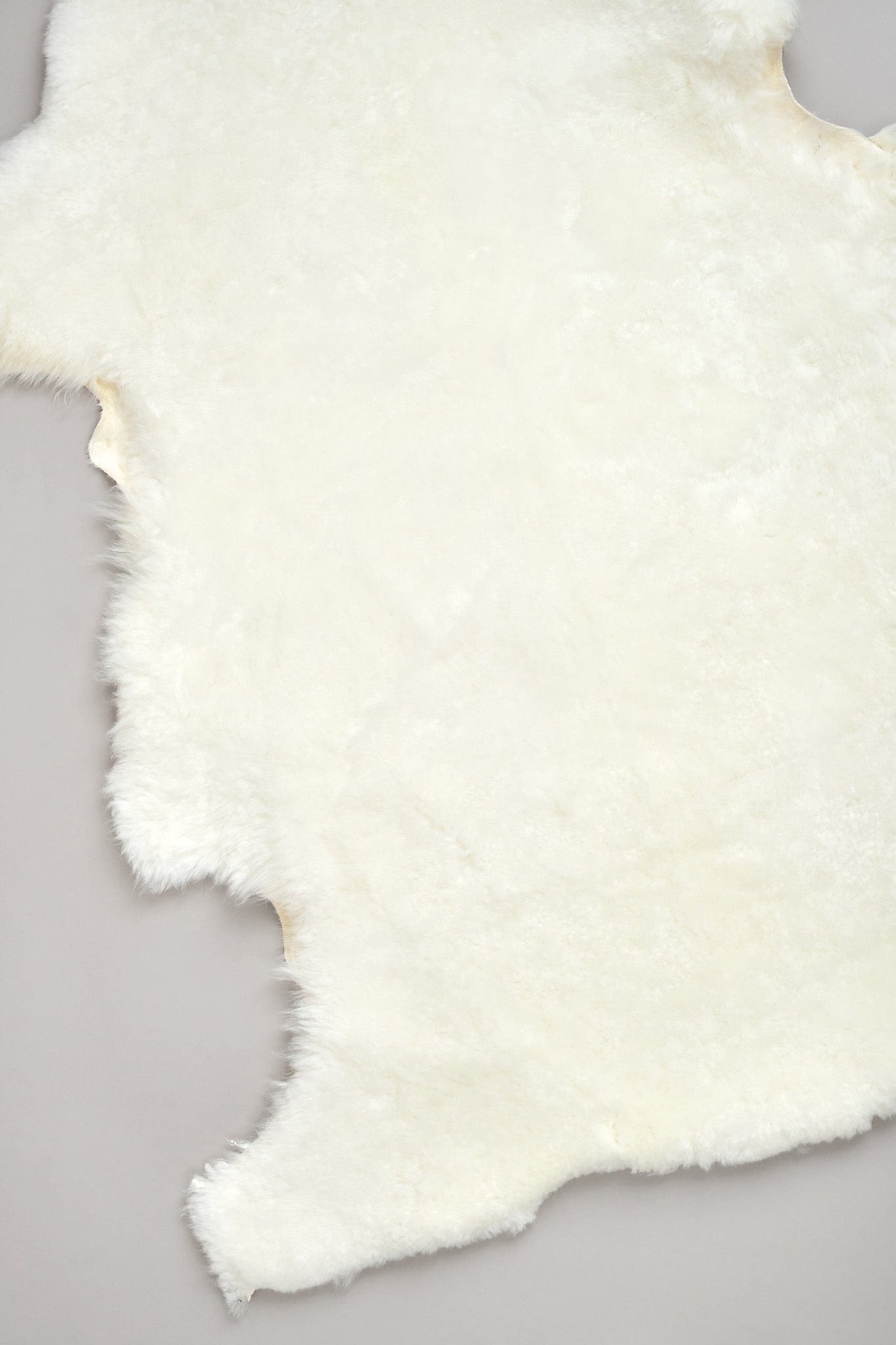 Farmhouse Pottery Home Rugs Natural Sheepskin in Ivory Ivory / 41" X 24"