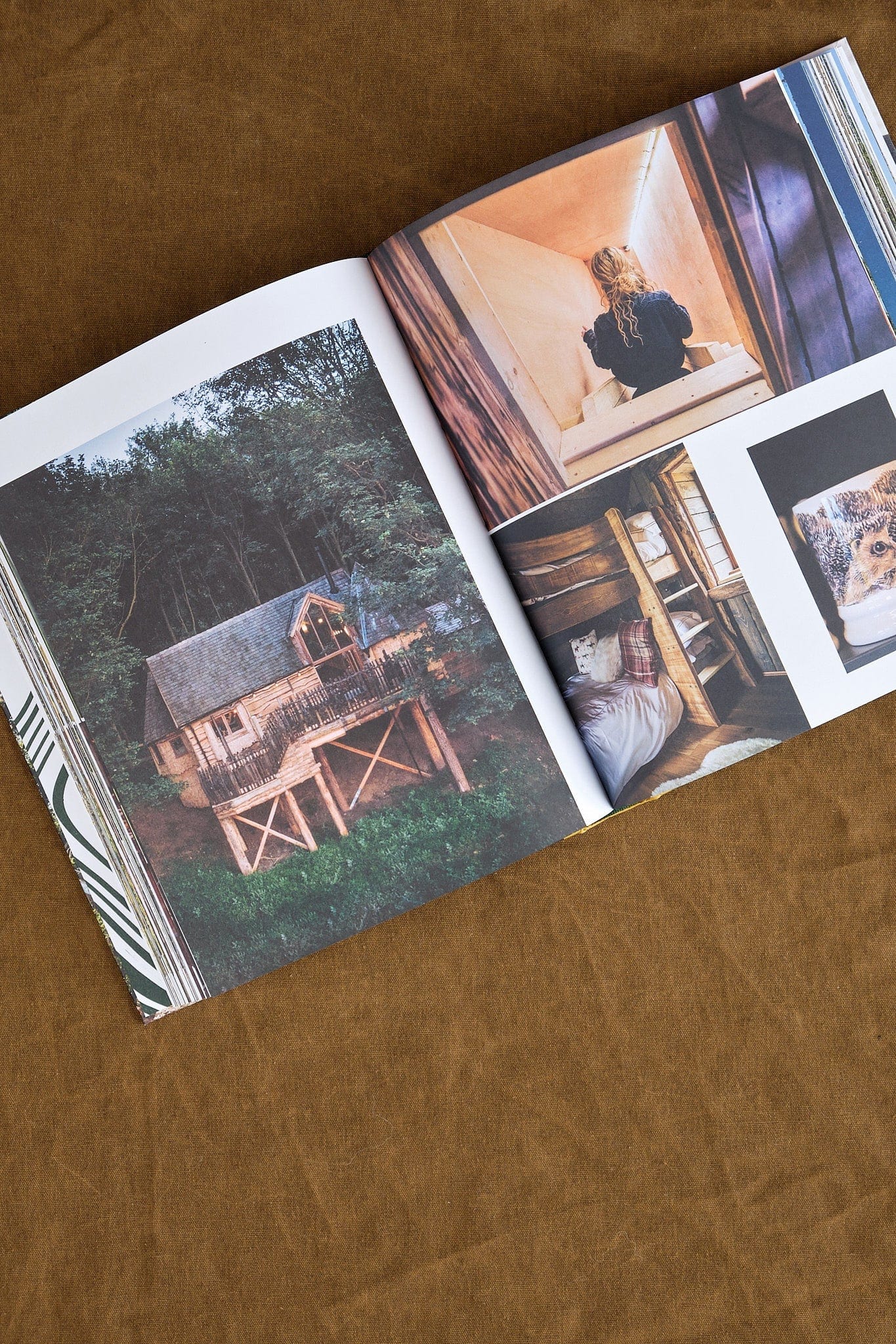 Gestalten Home Objects Stay Wild Book