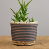 Kat and Roger Home Planters Small Planter in Black and White Stripes Black and White Stripes
