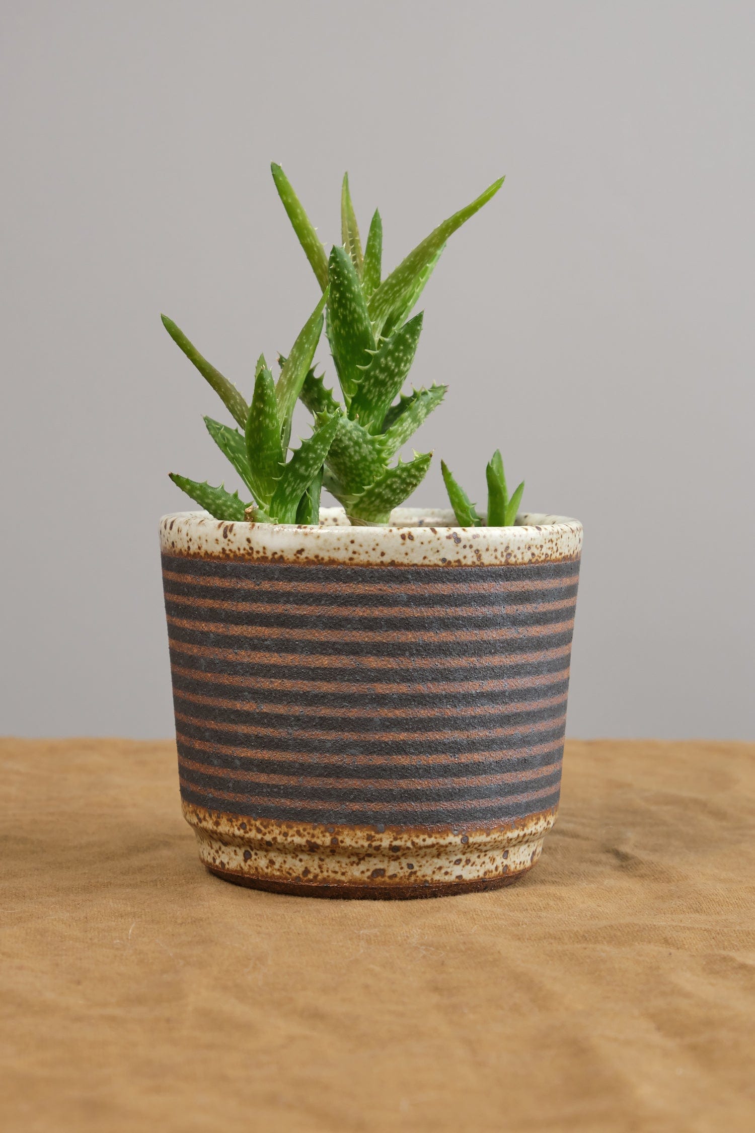 Kat and Roger Home Planters Small Planter in Black and White Stripes Black and White Stripes