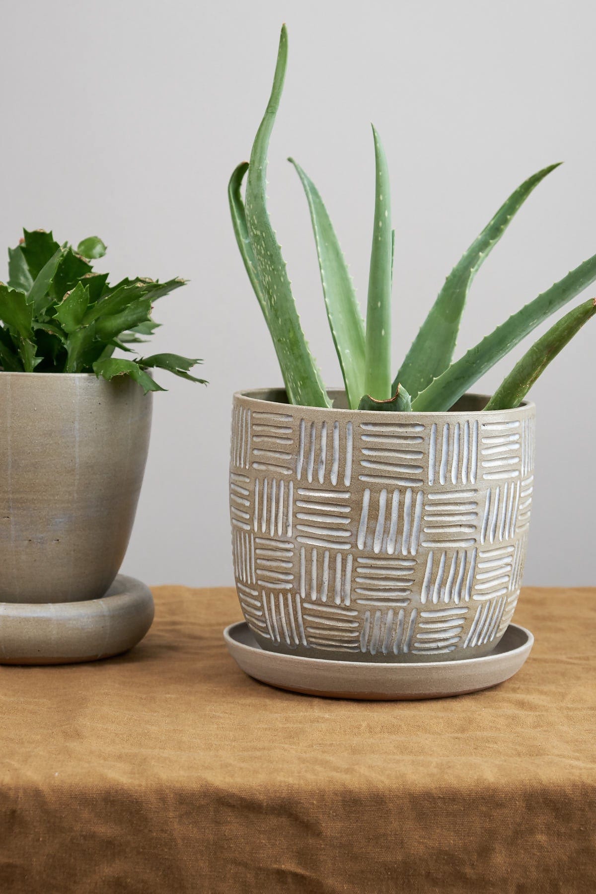 Kati Von Lehman Home Planters Etched Flowerpot Brown Stoneware/Eggshell / 7" D X 6.25" H