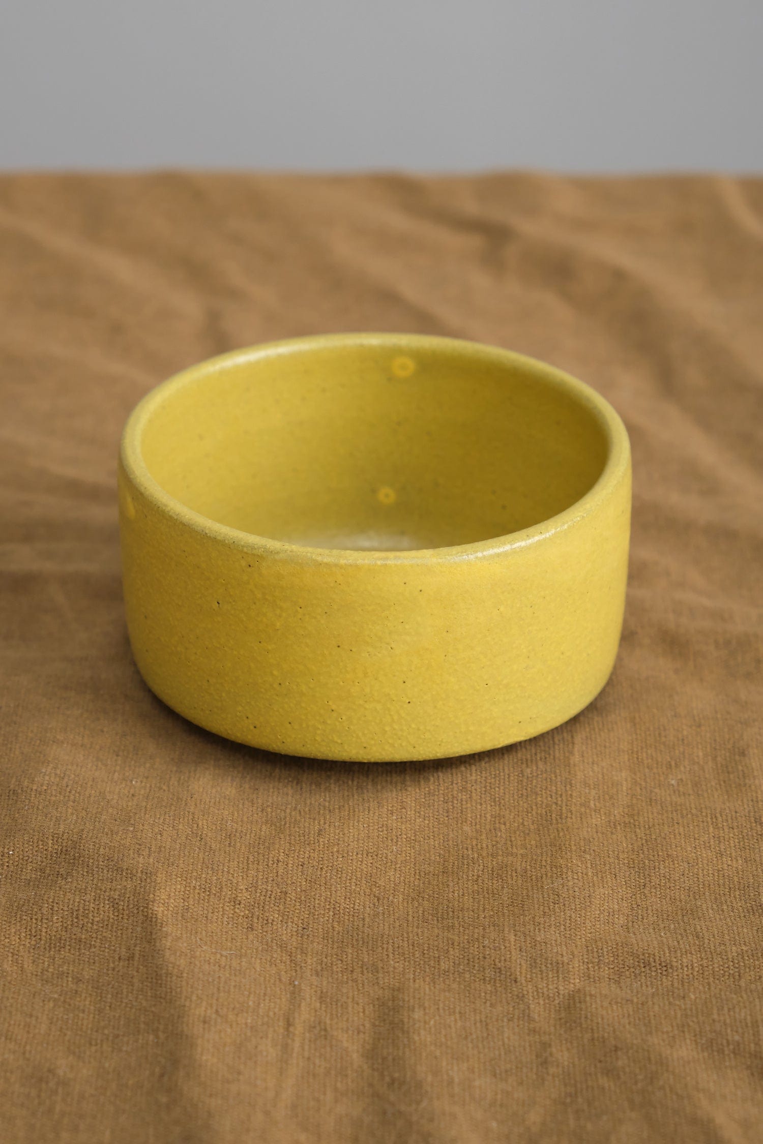 Kati Von Lehman Home Kitchen Serving Ramekin Turmeric
