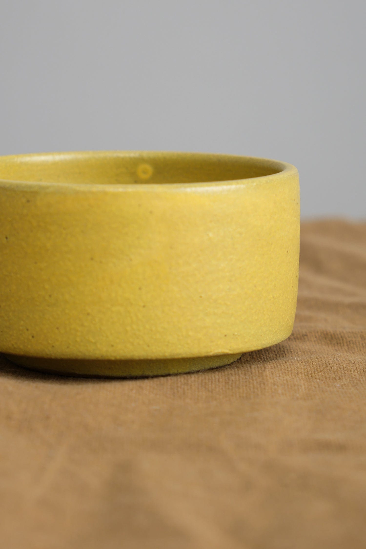 Kati Von Lehman Home Kitchen Serving Ramekin Turmeric