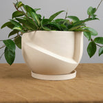 Light + Ladder Home Planters Small Vayu Planter in Sand Sand / 7.75” L X 7.75” W X 5” H