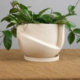 Light + Ladder Home Planters Small Vayu Planter in Sand Sand / 7.75” L X 7.75” W X 5” H