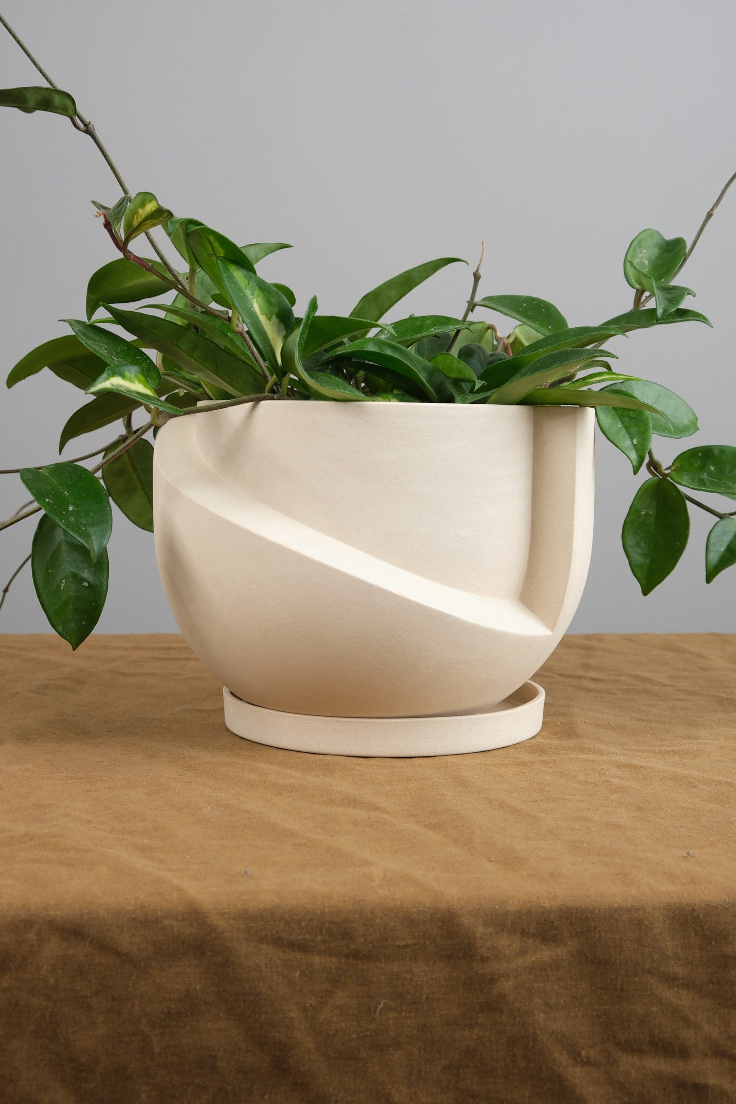 Light + Ladder Home Planters Small Vayu Planter in Sand Sand / 7.75” L X 7.75” W X 5” H