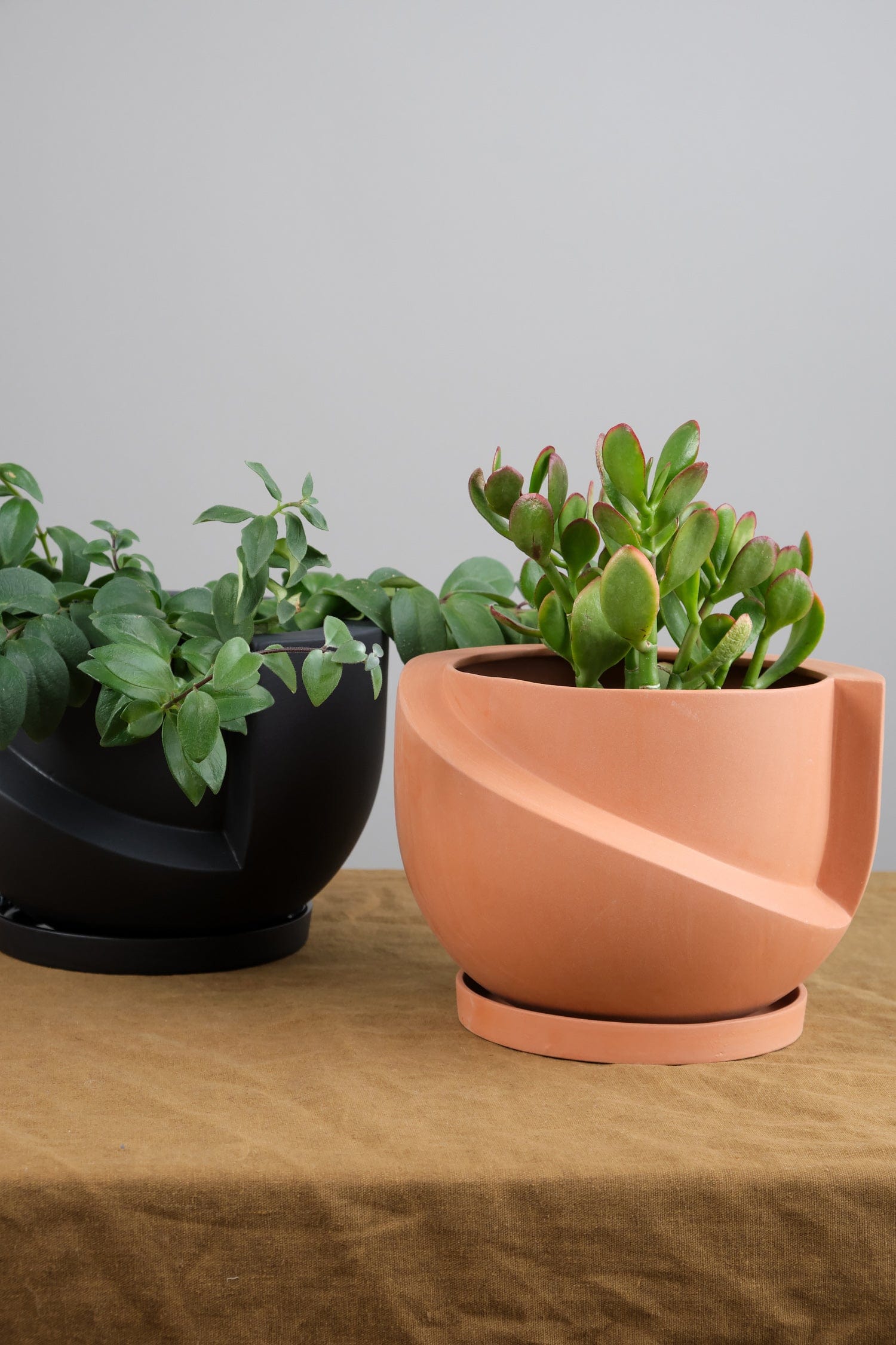 Light + Ladder Home Planters Small Vayu Planter in Terracotta Terracotta / 7.75” L X 7.75” W X 5” H