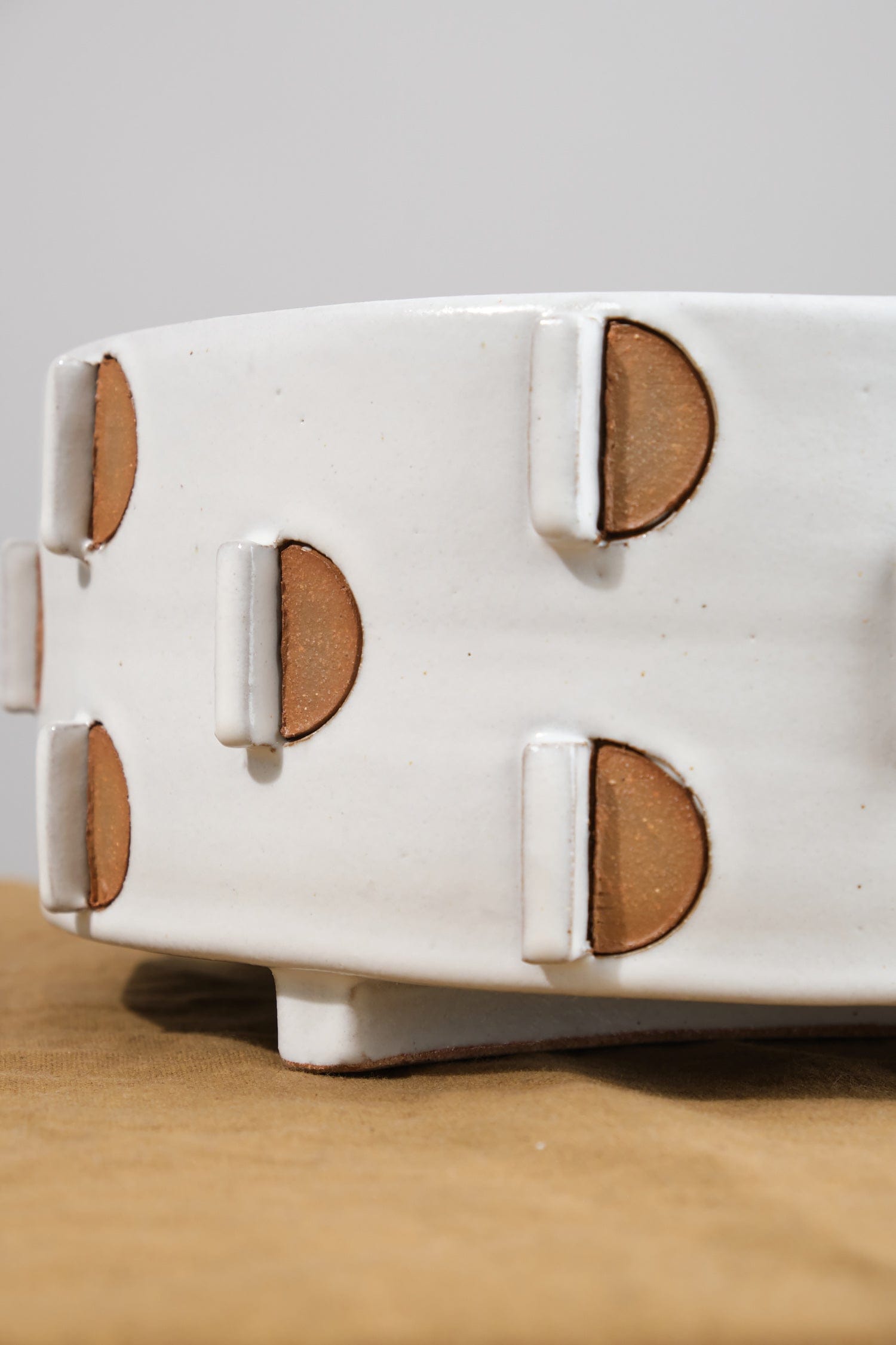 Detailing on White Footed Cholla Cactus Bowl