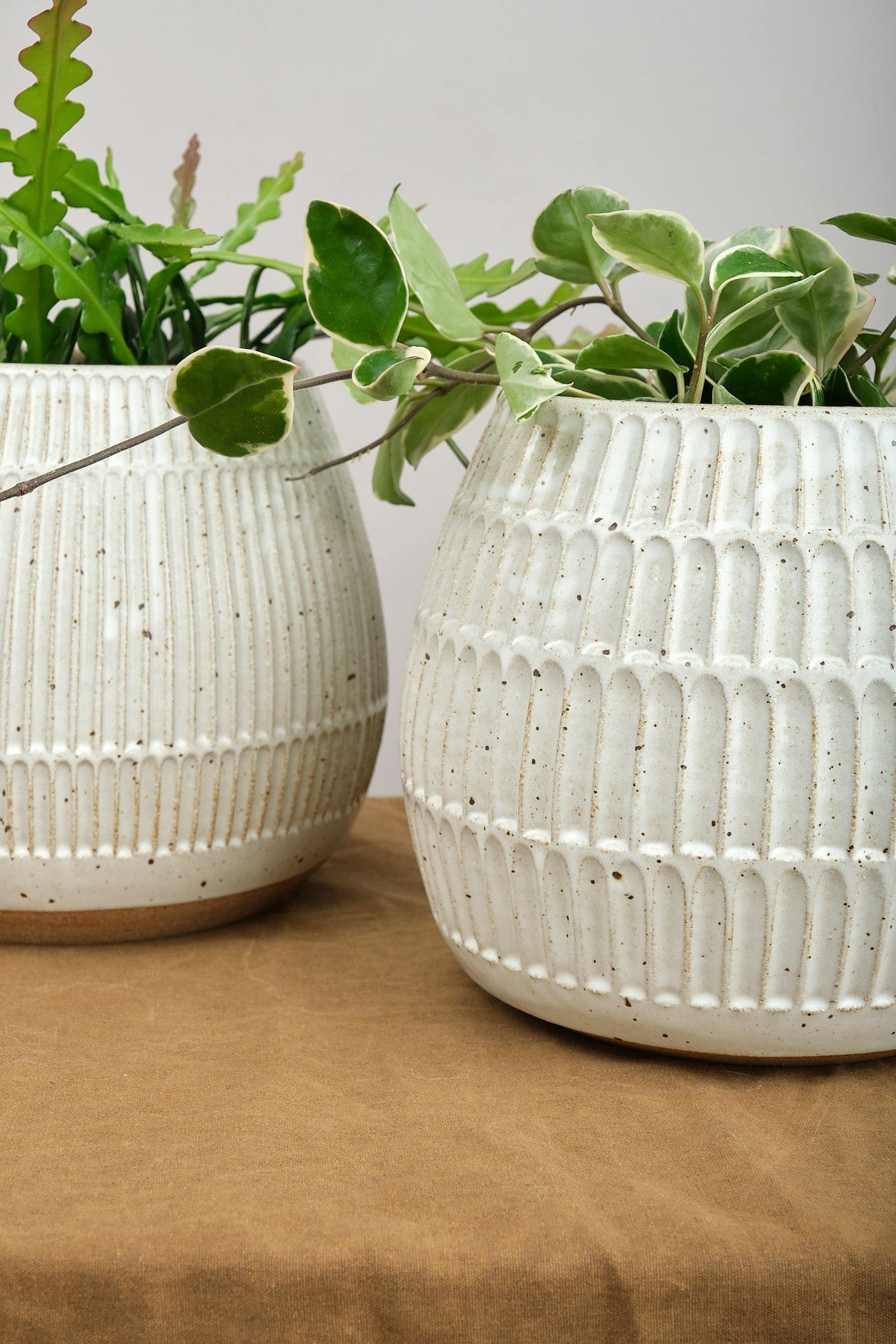 Subtle speckle detail