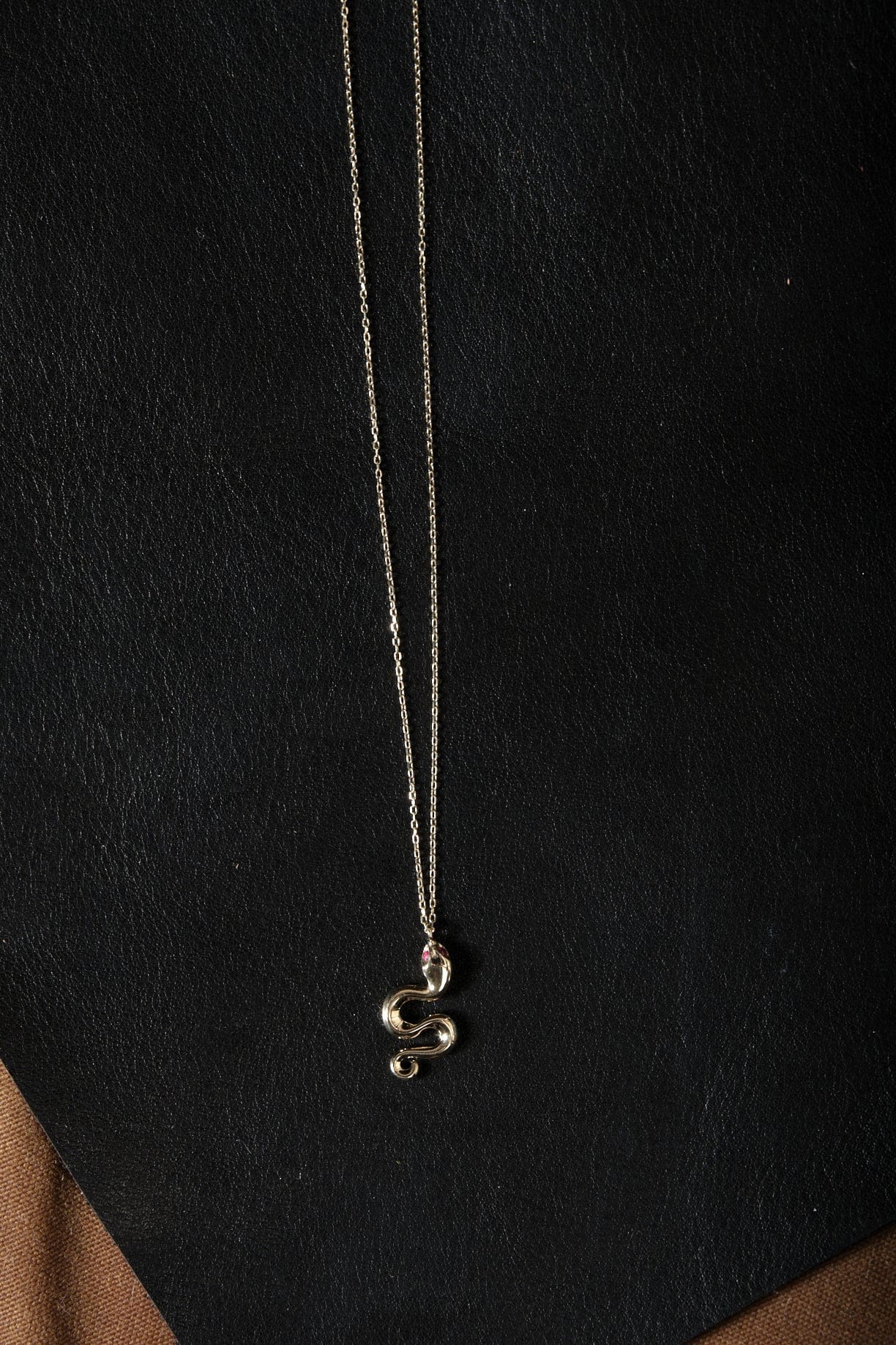 Pamela Love Jewelry Necklaces Serpent Ruby Pendant Ruby / 16" Chain