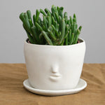 Rami Kim Studio Home Planters Face Pot Set in Oatmeal Oatmeal / 4” D X 4” H