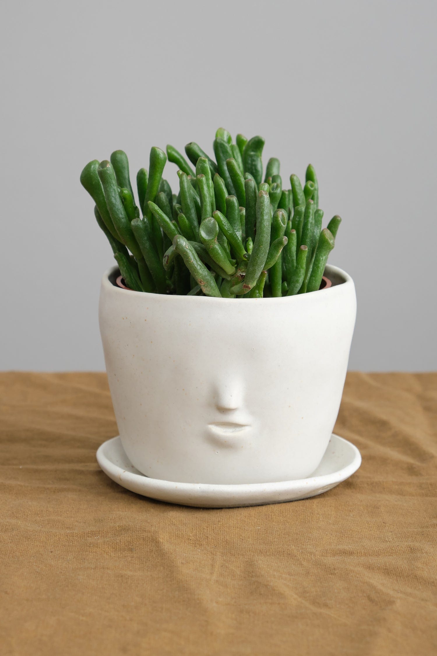 face pot planter Rami Kim Studio Face Pot Set in Oatmeal – Cedar & Hyde Mercantile