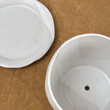 Rami Kim Studio Home Planters Face Pot Set in Matte White Matte White