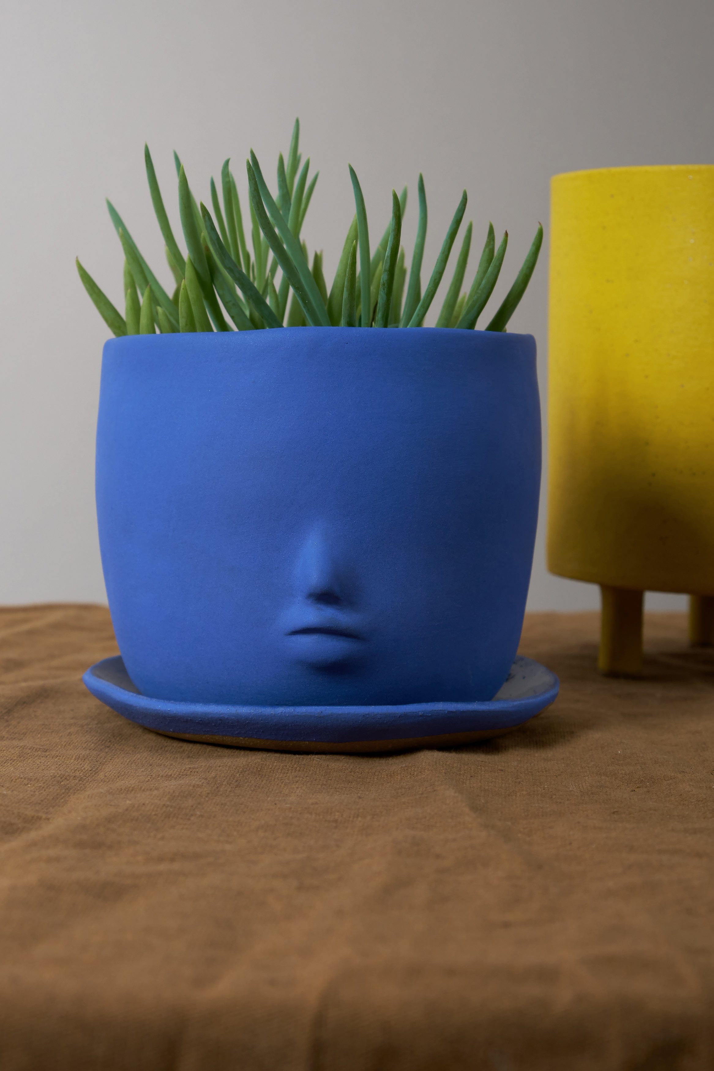 Rami Kim Studio Home Planters Face Pot Set in Intense Blue Intense Blue