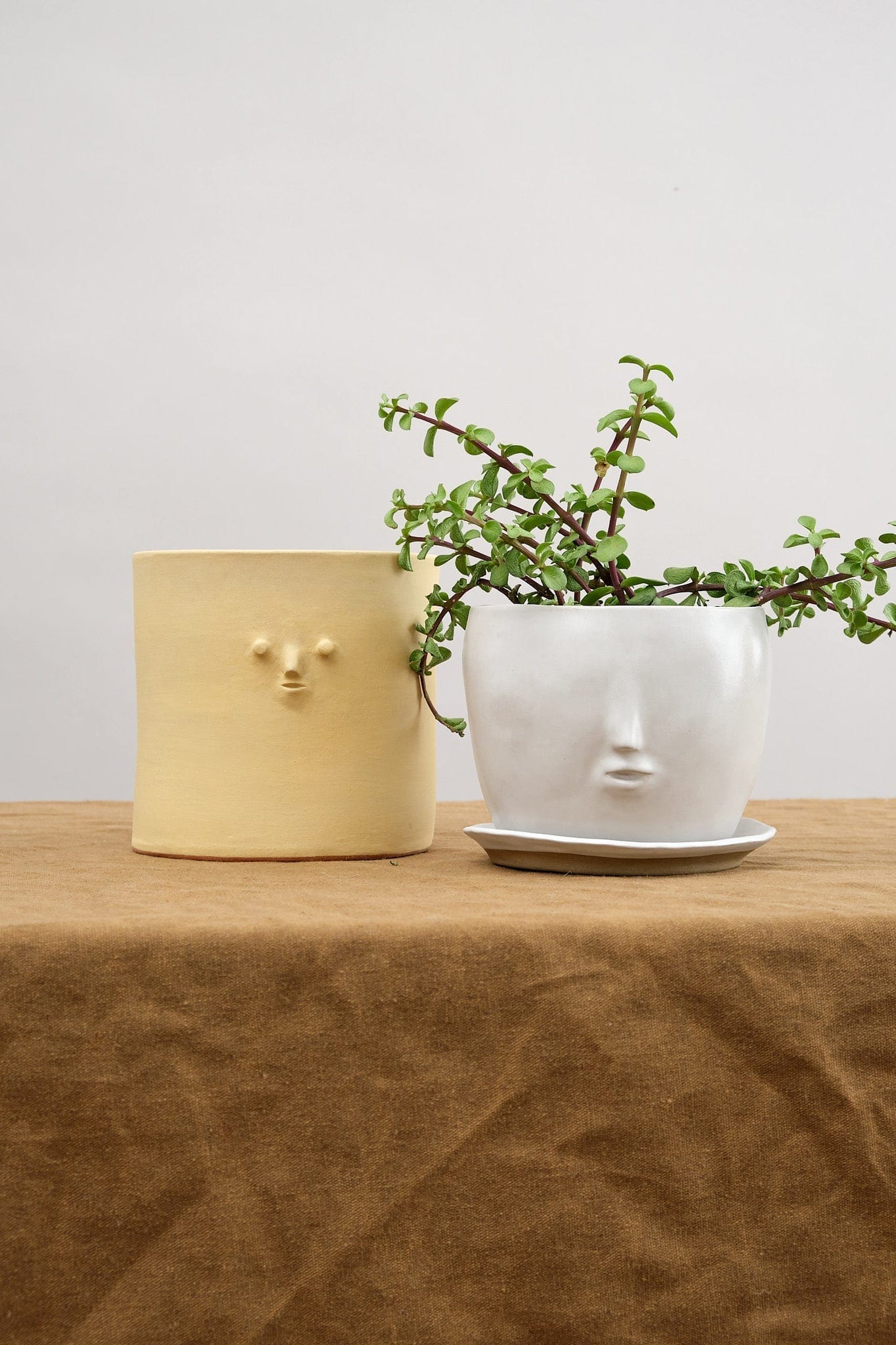 Rami Kim Studio Home Planters Face Pot Set in Matte White Matte White