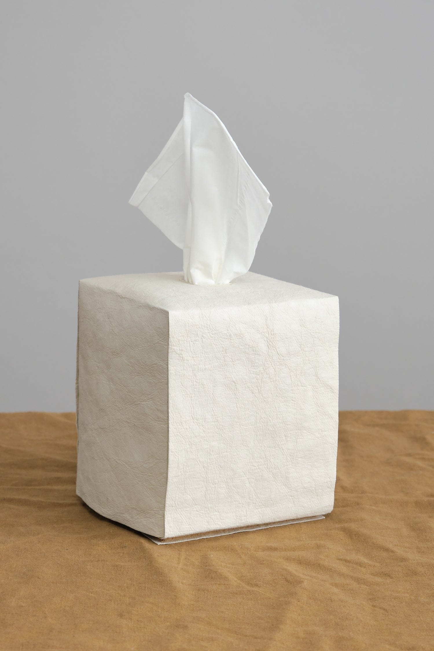 Tissue Box