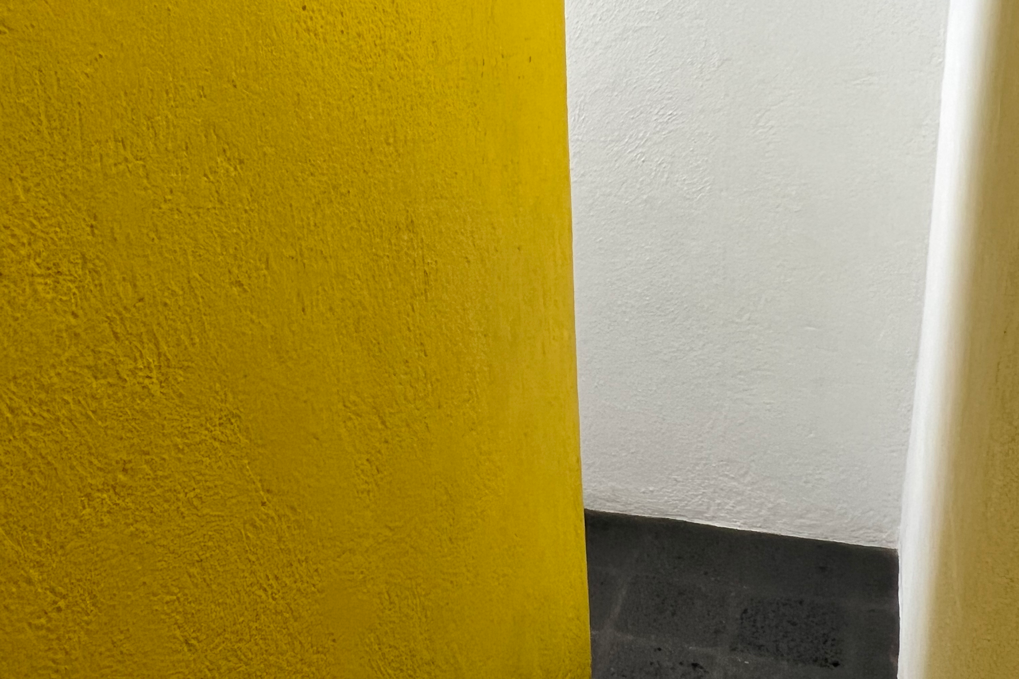 Luis Barragan: Visit Mexico City