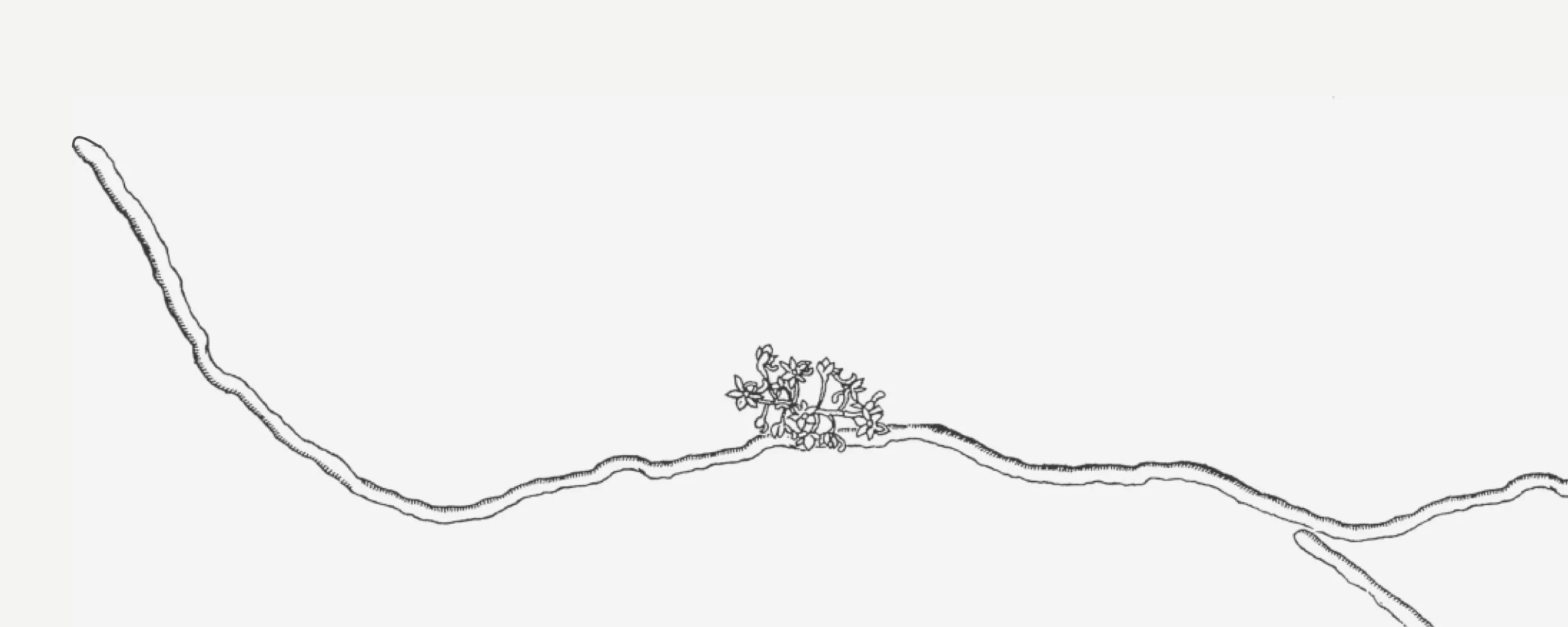 The House Marie Built