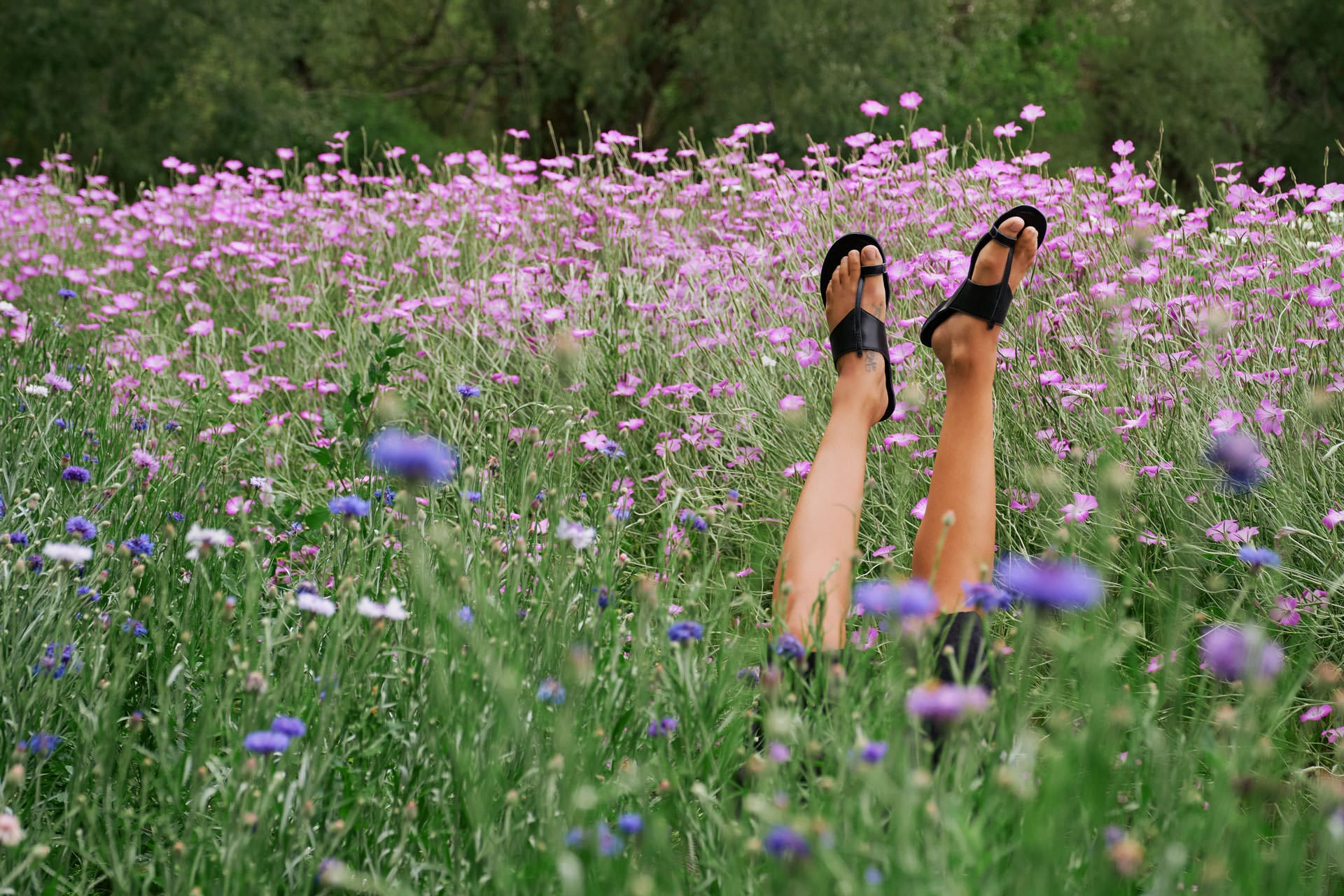Jamie Haller Clothing and Shoes for Summer