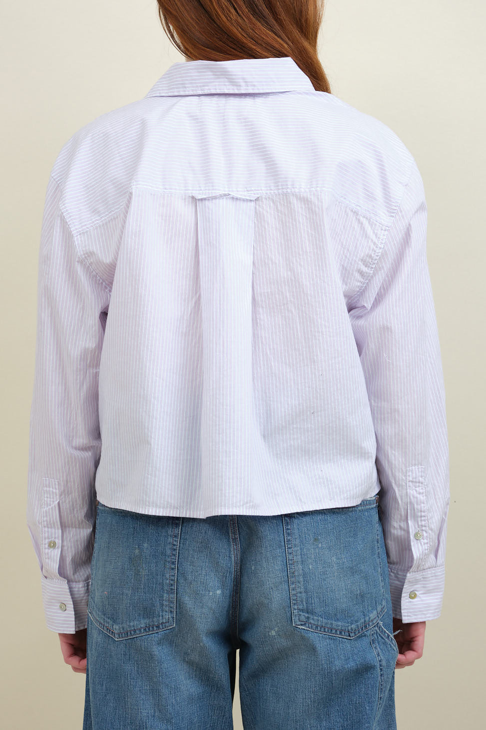 Back of Ruth Stripe Crop Shirt in Blushing Stripe