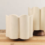 BZippy Art Ceramics Short Scallop Vase in Cream Cream