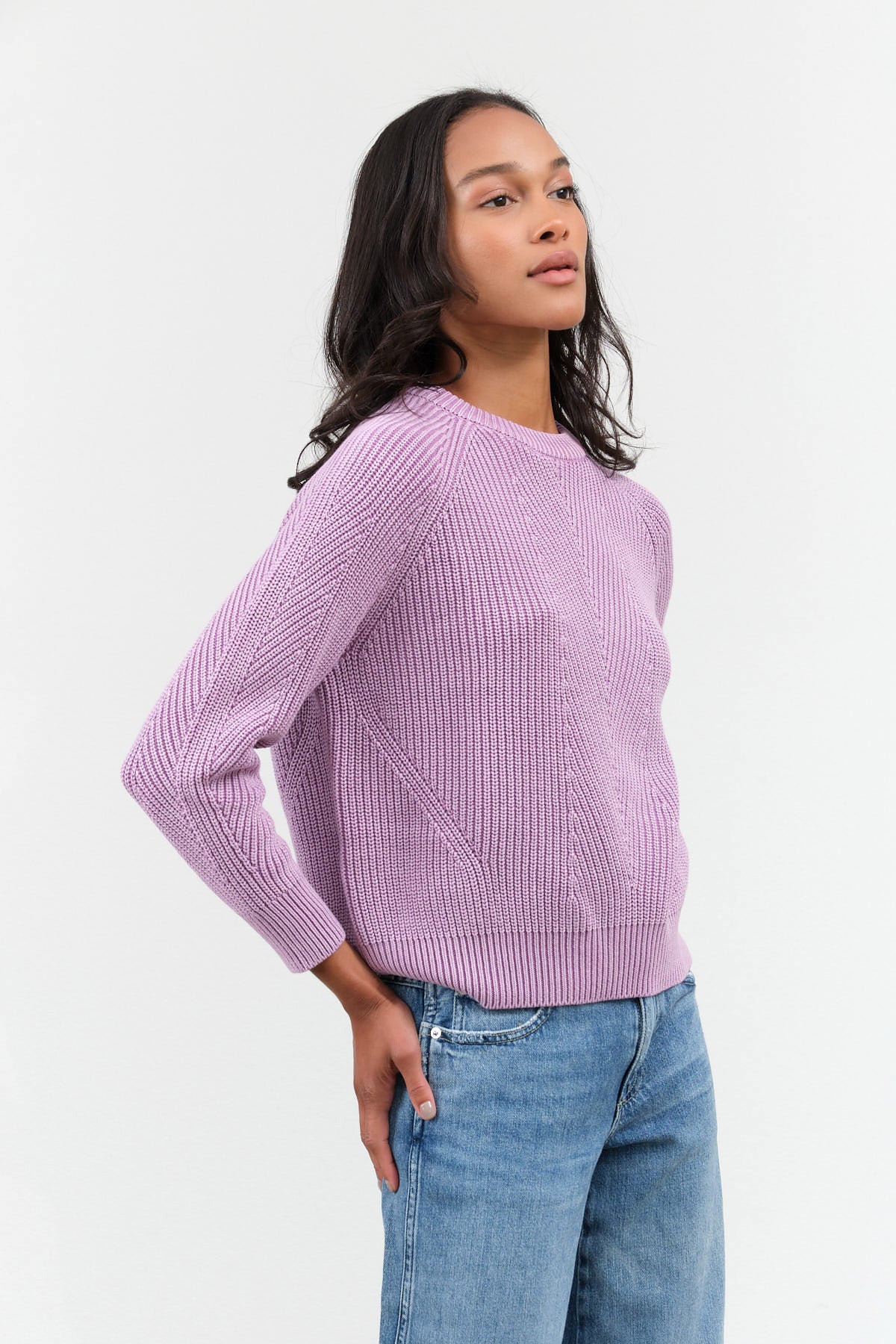 Demylee Chelsea Cotton Sweater in Iris