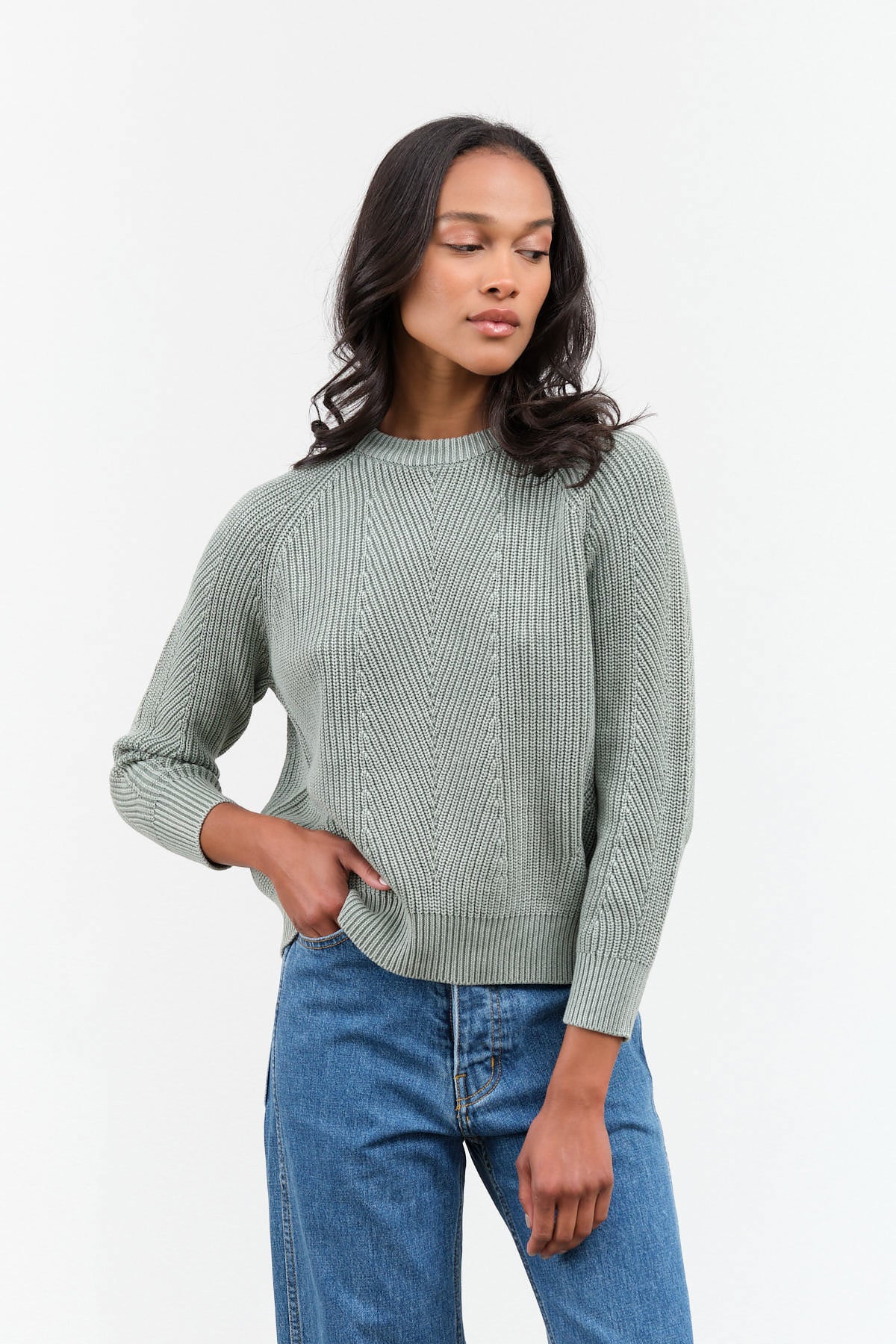 Demylee Chelsea Cotton Sweater in Sage