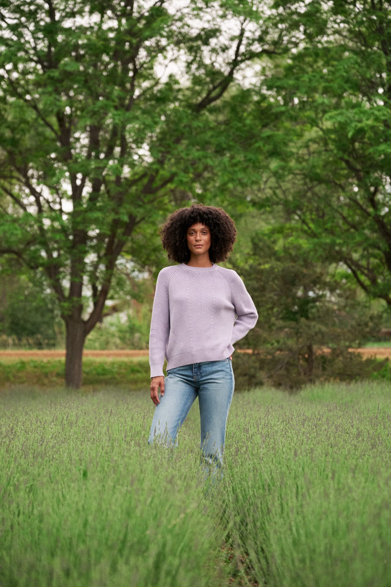 A woman with dark curly hair stands in a grassy field wearing a Demylee light lavender long-sleeve knit sweater and light blue jeans, with green trees in the background.