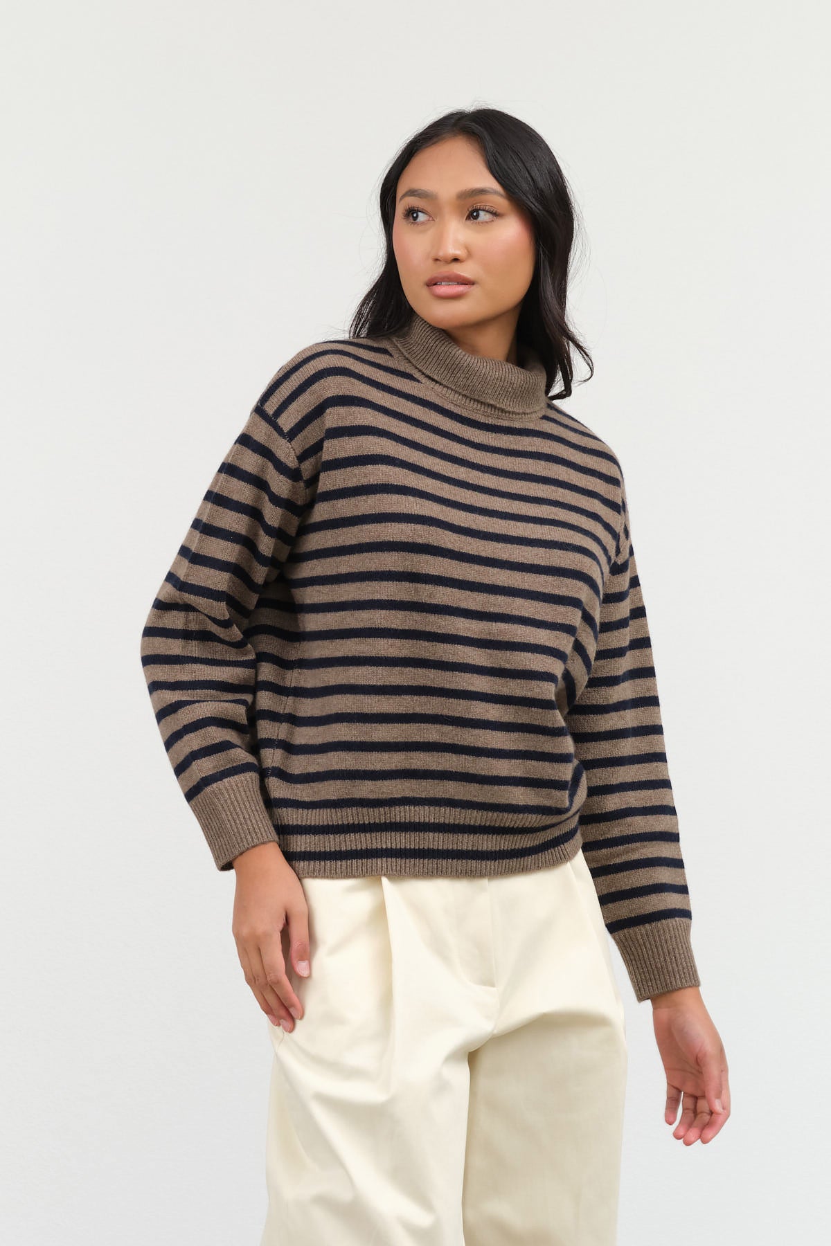 Demylee Hannes Turtleneck Sweater in Beige and Navy 