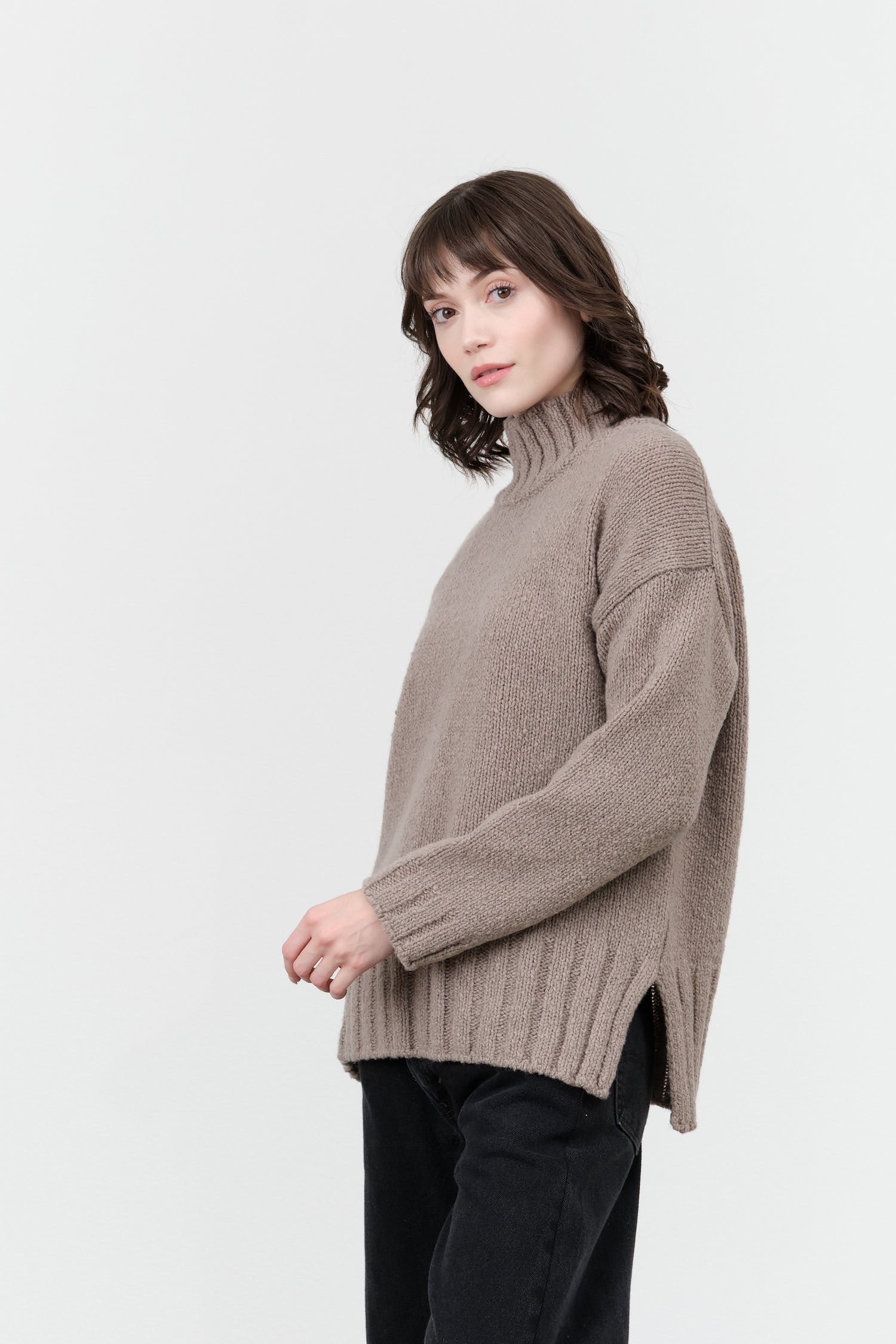 Evam Eva Renew-Wool Turtleneck in Mocha