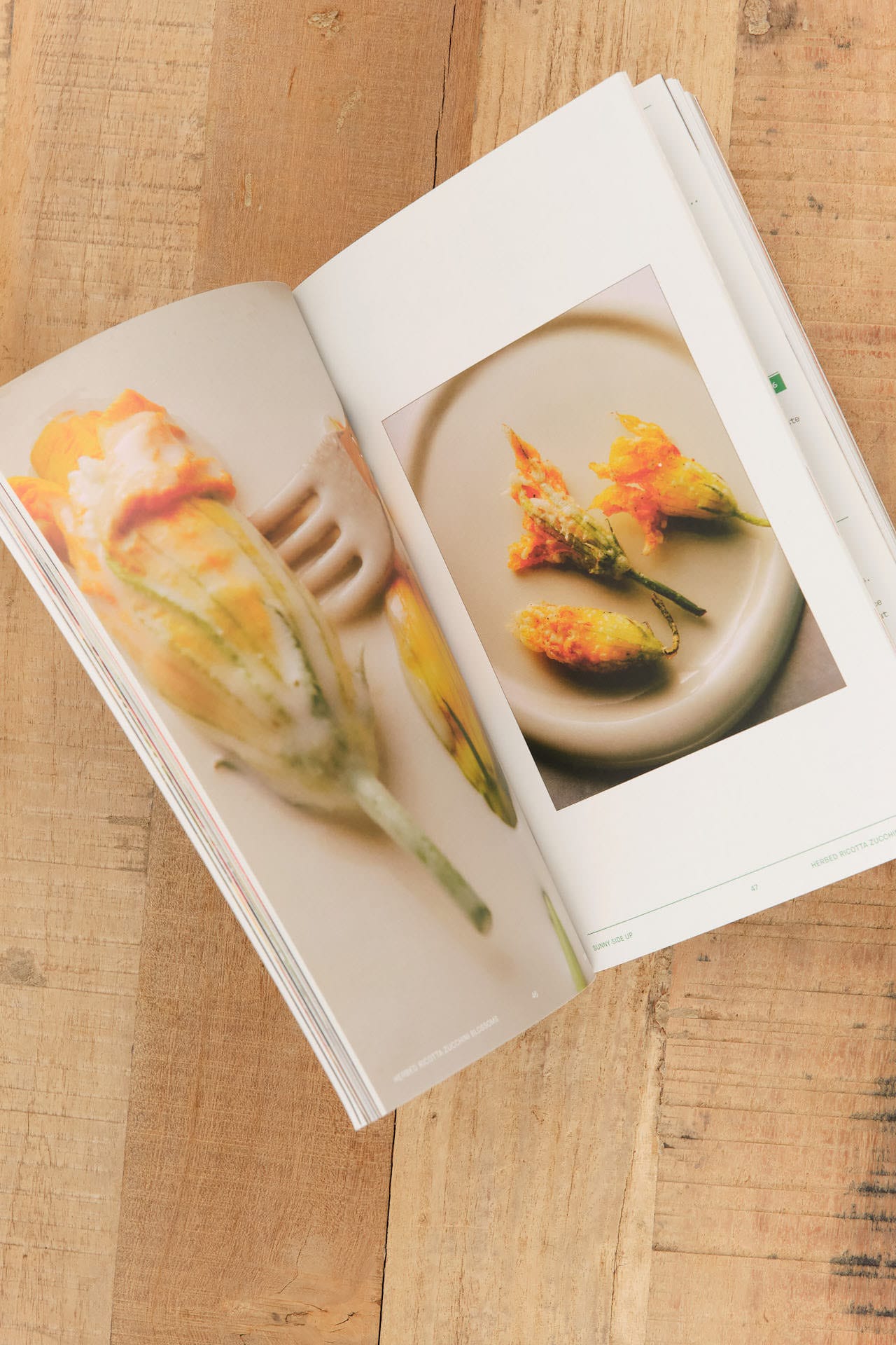 Flamingo Estate Home Objects Sunny Side Up Recipe Book