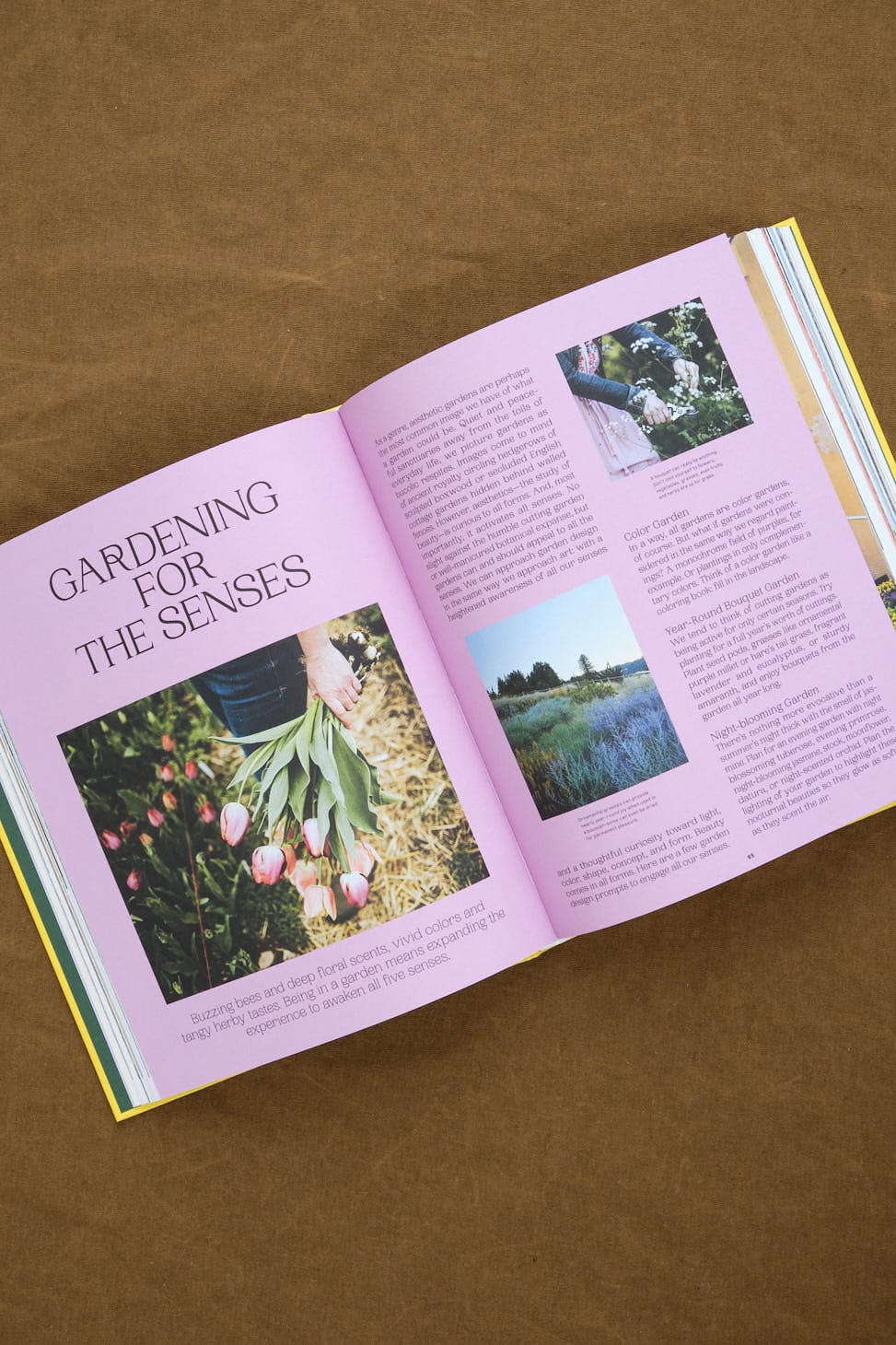 Gardens of Eden Book gardening for the senses