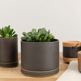 Hasami Porcelain Home Planters Large Planter