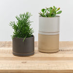 Hasami Porcelain Home Planters Large Planter