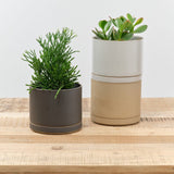 Hasami Porcelain Home Planters Large Planter