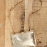 Il Bisonte Accessories Bags Roseto Crossbody Bag in Platino Platino / 9.75" L X 7" H X 0.75" D