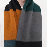 Jo Gordon Accessories Scarves Brushed Colourblock Scarf in Dark Dark / One Size