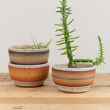 Medium Round Planter