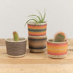 Kat and Roger Home Planters Small Planter