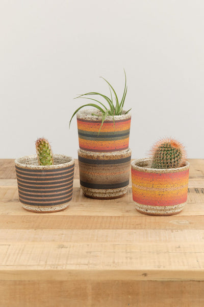 tiny planter pots Kat and Roger | Small Planter | ceramic | Variety Stripes