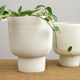 Kati Von Lehman Home Planters Large Pedestal Planter in White White