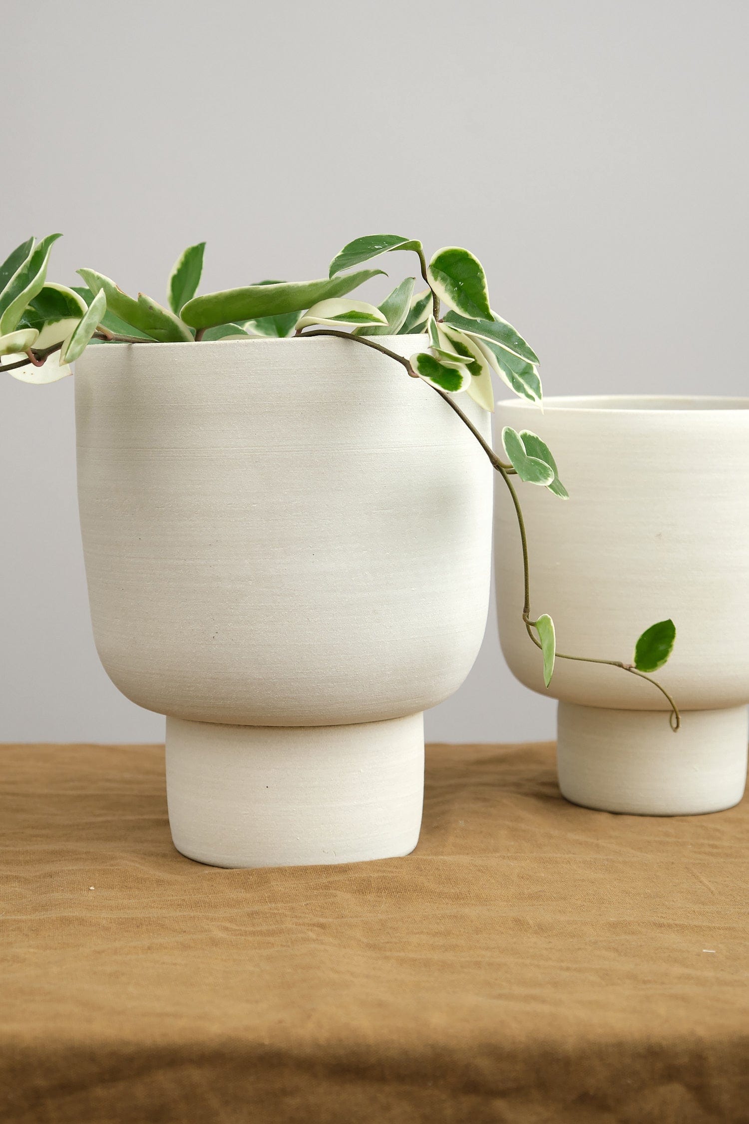 Kati Von Lehman Home Planters Large Pedestal Planter in White White