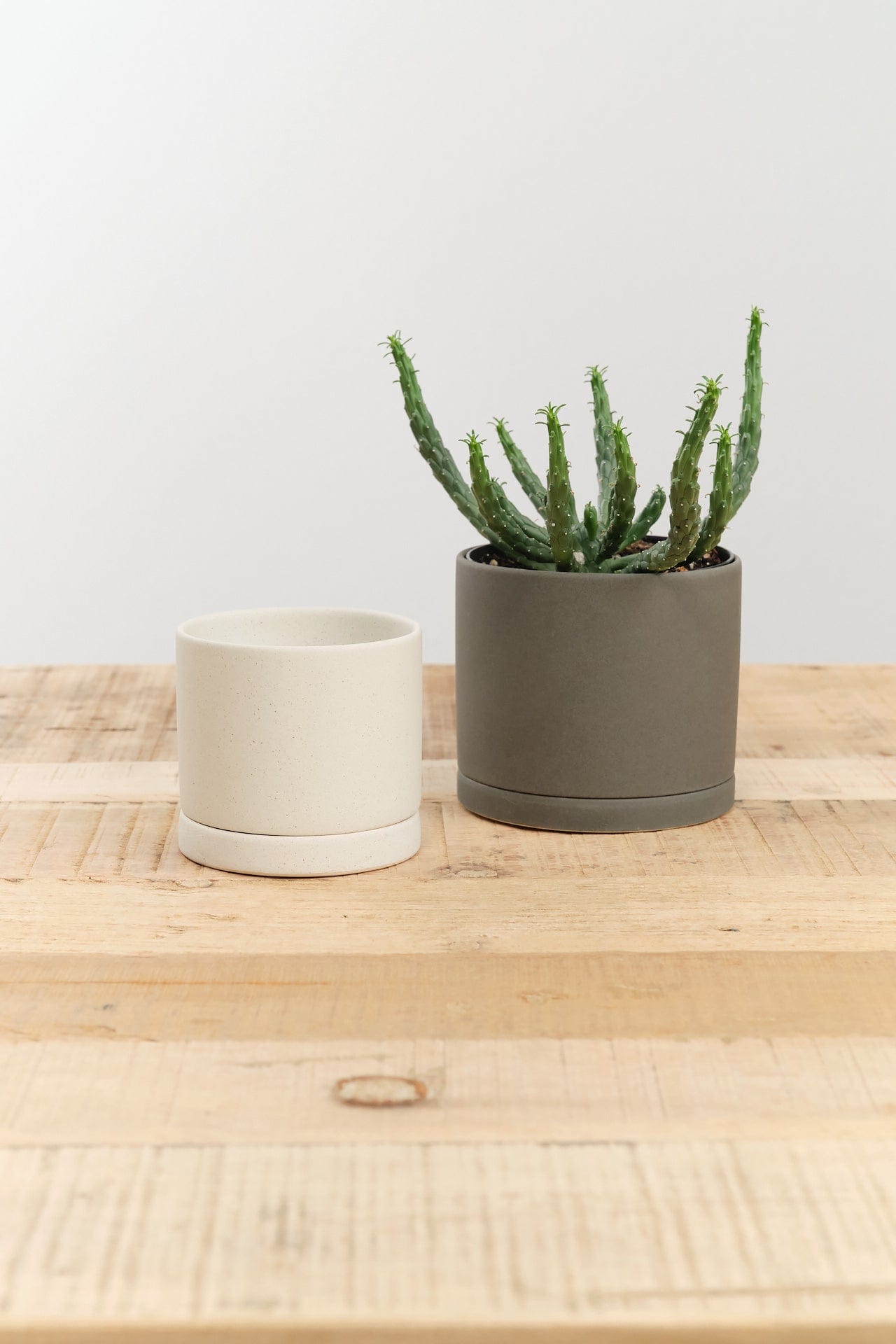 Kinto Home Planters 3" Plant Pot